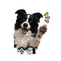 呷胖!