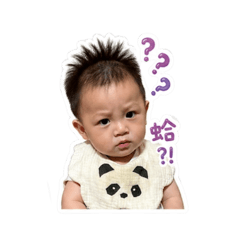 賢賢寶寶