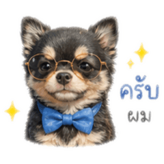 Wiphapang_20260428103532