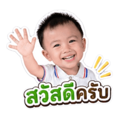 Netnapa_20260428103527