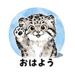 Ink Wash Pallas's Cat Daily Chat