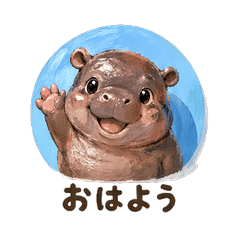 Impasto Pygmy Hippo Daily Chat
