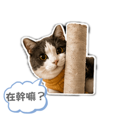 Quorry表情貼