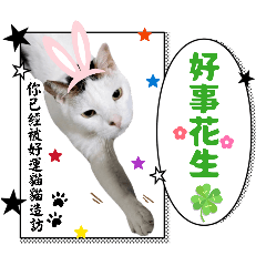 小呆日常ver.3