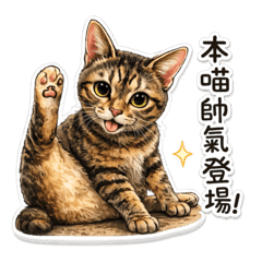 蝦球娘娘的傲嬌日常
