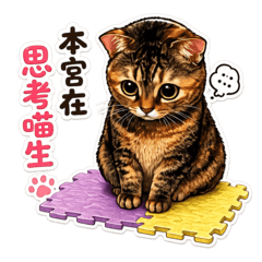 蝦球娘娘的日常用語