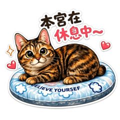 蝦球娘娘就是愛撒嬌