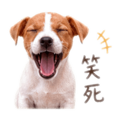 我是奶酥-厭世可愛日常