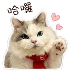 哈囉大家好我是布布