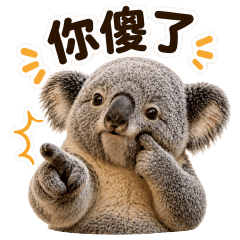 哇!無尾熊