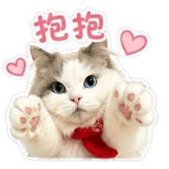哈囉大家好我是布布2