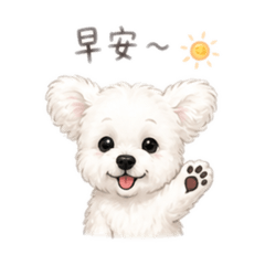 熊哥哥的日常
