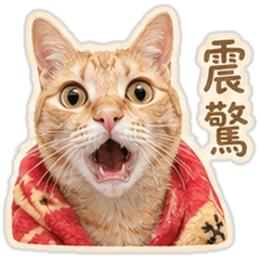 戲精の13