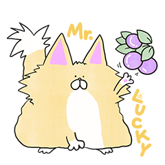 Mr. Lucky : Everyday Life