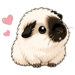 Sweetest California Guineapig