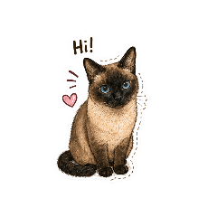 Violet Cat Daily Moods