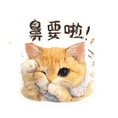可愛哈娜小貓