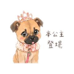 賀小蓓日常～