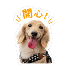 jia li˚ de˚bǎo bèi mén