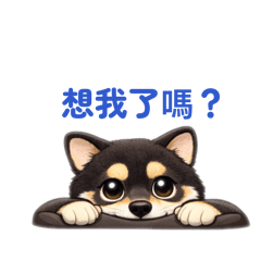 庫洛洛是隻黑柴2