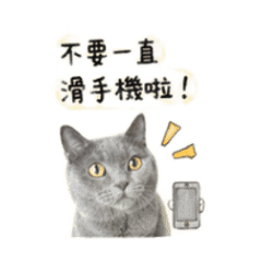 鄭點點不要一直滑手機