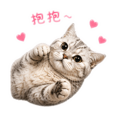 嚕嚕咪是隻貓咪