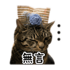 厭世的威威