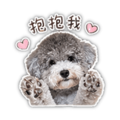 囉嗦咪的日常用語