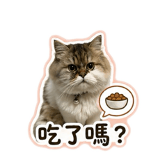 旺旺OS