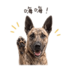 膽小狗小虎