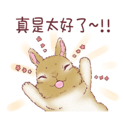 兔子POM和MOCO 4