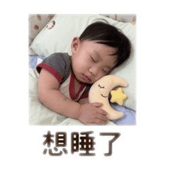 百變的寶貝
