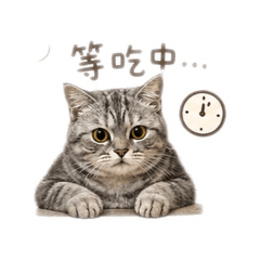 咪咪咪咪喵