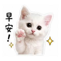 糖糖小公主hi