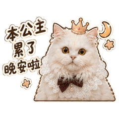 小崔&馬肯