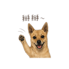 臭臭小狗狗