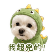 紀念。最愛的饅頭寶貝