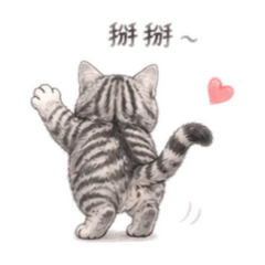 阿比阿暖