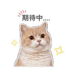 Mu & Le Cats