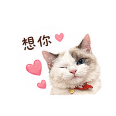 麻吉日常❤️3