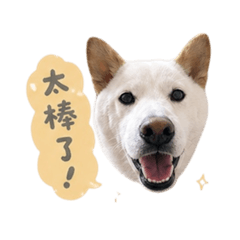 快樂小餅的日常2.0