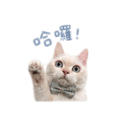 @小泡芙的日常生活