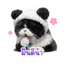 Panda Stickers_20260428103838