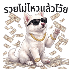 Yuki Bangkaew Samoyed (The prankster) #3