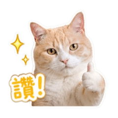 鵝小寶吃飽飽