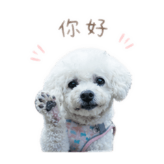 噗馬普馬