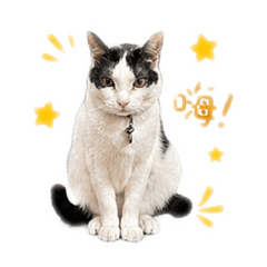 逗B的日常生活