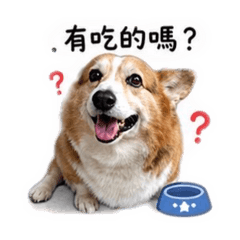 皮蛋小皮皮