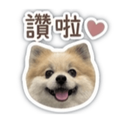 熊熊日常Life