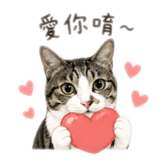 Oreo(日常版)